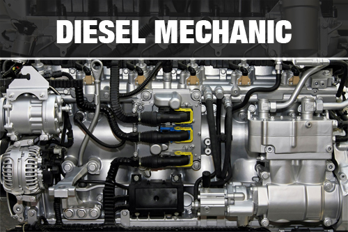 Diesel Mechanic Gold Coast